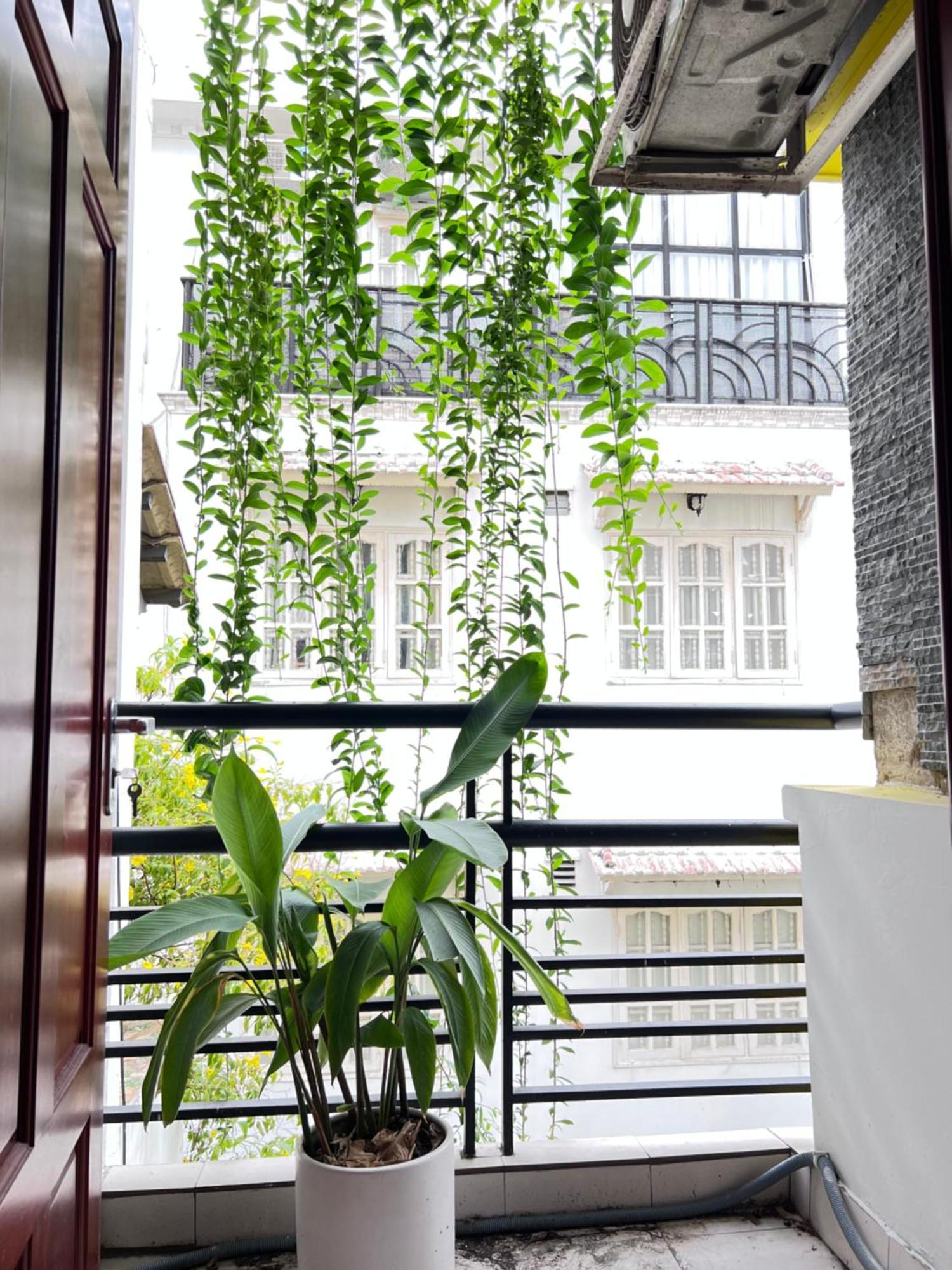 Co Homestay Saigon ホーチミン市 エクステリア 写真